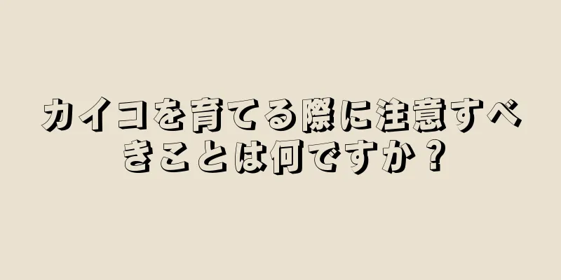 カイコを育てる際に注意すべきことは何ですか？