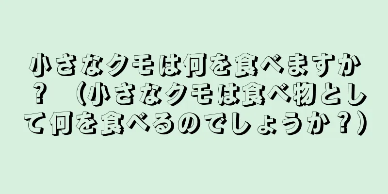 小さなクモは何を食べますか？ （小さなクモは食べ物として何を食べるのでしょうか？）