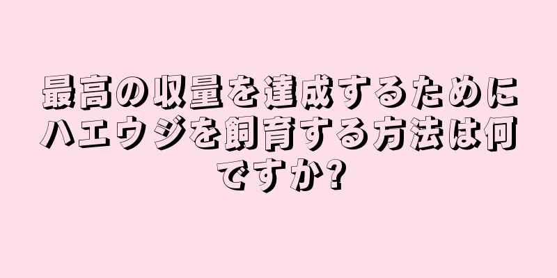 最高の収量を達成するためにハエウジを飼育する方法は何ですか?