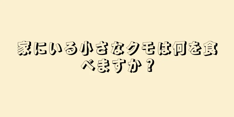 家にいる小さなクモは何を食べますか？