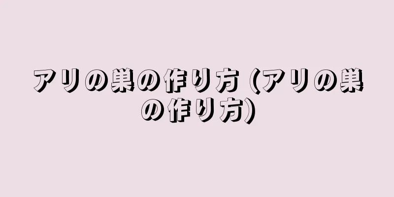アリの巣の作り方 (アリの巣の作り方)