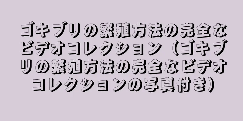 ゴキブリの繁殖方法の完全なビデオコレクション（ゴキブリの繁殖方法の完全なビデオコレクションの写真付き）