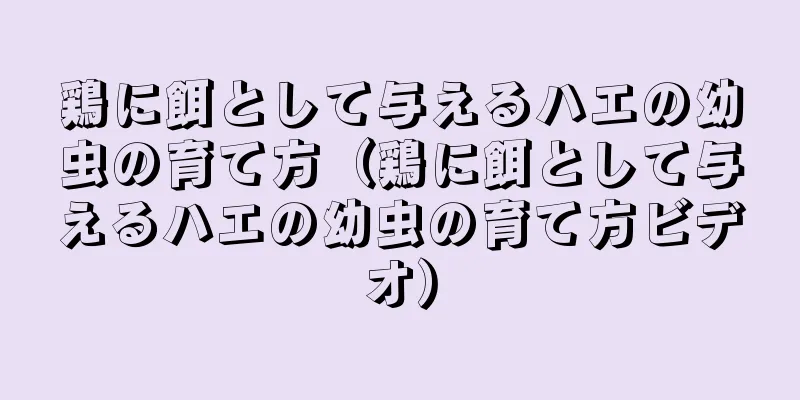 鶏に餌として与えるハエの幼虫の育て方（鶏に餌として与えるハエの幼虫の育て方ビデオ）