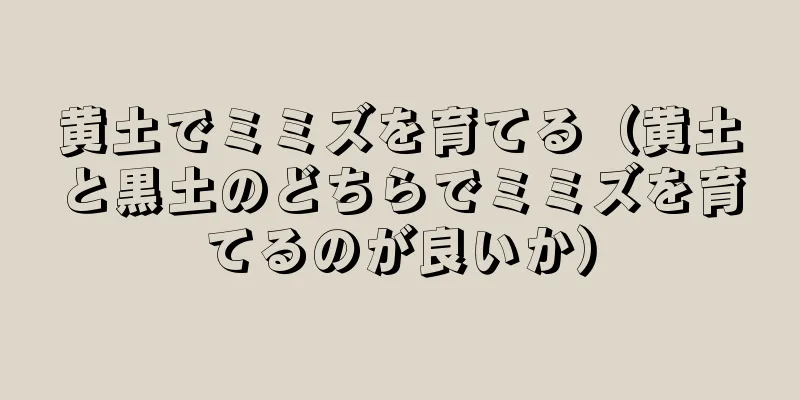 黄土でミミズを育てる（黄土と黒土のどちらでミミズを育てるのが良いか）