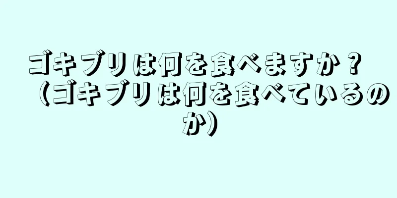 ゴキブリは何を食べますか？ （ゴキブリは何を食べているのか）
