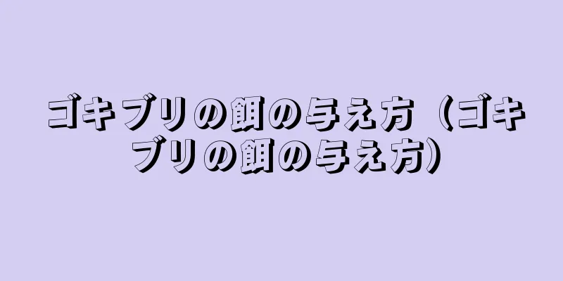 ゴキブリの餌の与え方（ゴキブリの餌の与え方）