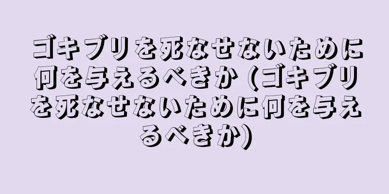 ゴキブリを死なせないために何を与えるべきか (ゴキブリを死なせないために何を与えるべきか)