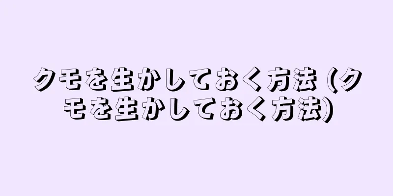 クモを生かしておく方法 (クモを生かしておく方法)
