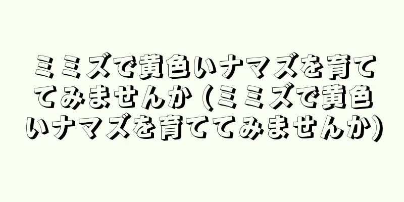 ミミズで黄色いナマズを育ててみませんか (ミミズで黄色いナマズを育ててみませんか)