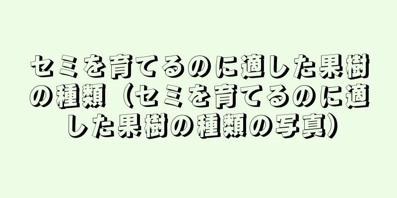 セミを育てるのに適した果樹の種類（セミを育てるのに適した果樹の種類の写真）