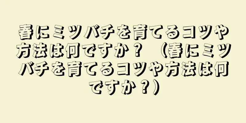 春にミツバチを育てるコツや方法は何ですか？ （春にミツバチを育てるコツや方法は何ですか？）