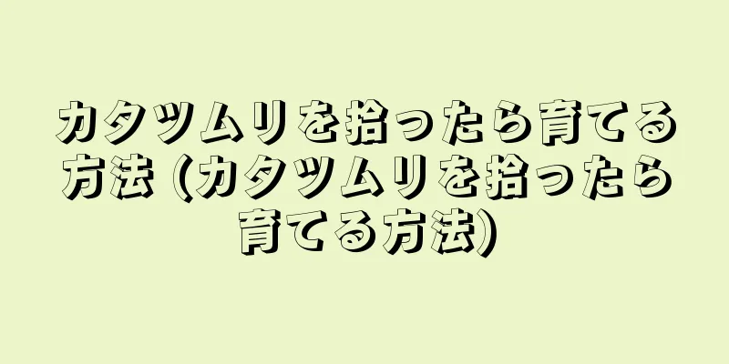 カタツムリを拾ったら育てる方法 (カタツムリを拾ったら育てる方法)