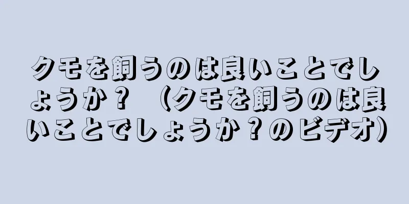 クモを飼うのは良いことでしょうか？ （クモを飼うのは良いことでしょうか？のビデオ）