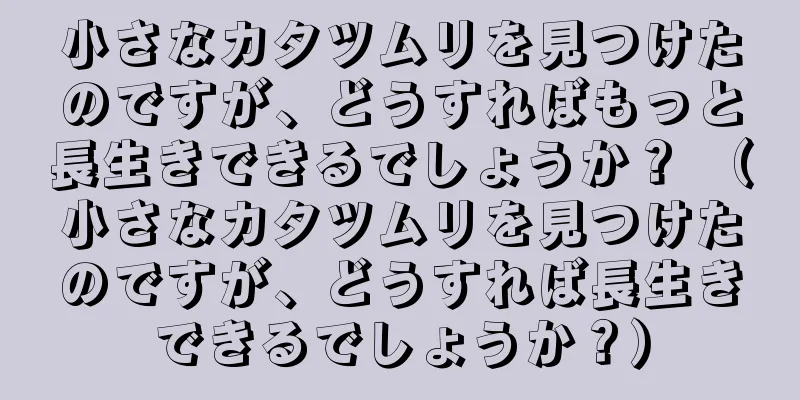 小さなカタツムリを見つけたのですが、どうすればもっと長生きできるでしょうか？ （小さなカタツムリを見つけたのですが、どうすれば長生きできるでしょうか？）