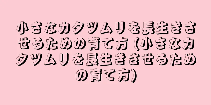 小さなカタツムリを長生きさせるための育て方 (小さなカタツムリを長生きさせるための育て方)