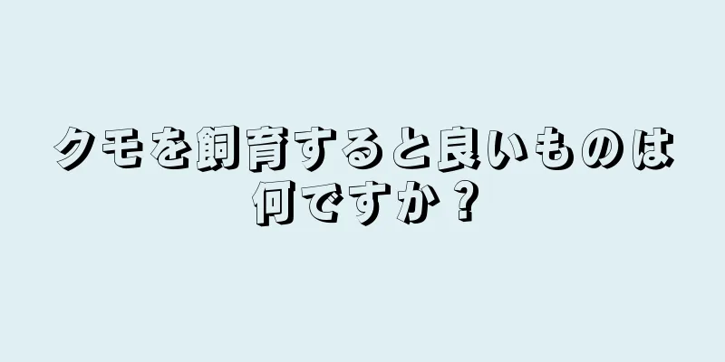 クモを飼育すると良いものは何ですか？