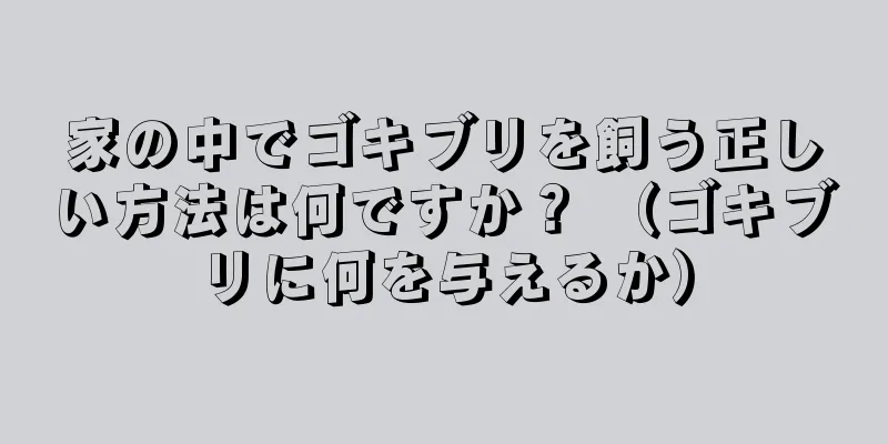 家の中でゴキブリを飼う正しい方法は何ですか？ （ゴキブリに何を与えるか）