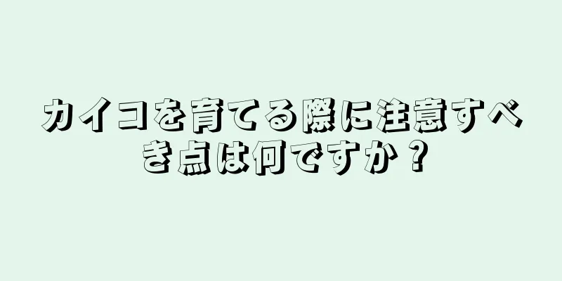 カイコを育てる際に注意すべき点は何ですか？