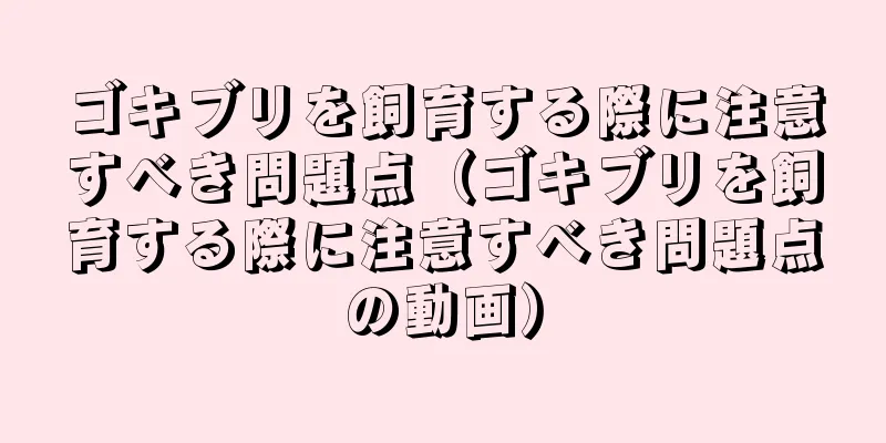 ゴキブリを飼育する際に注意すべき問題点（ゴキブリを飼育する際に注意すべき問題点の動画）