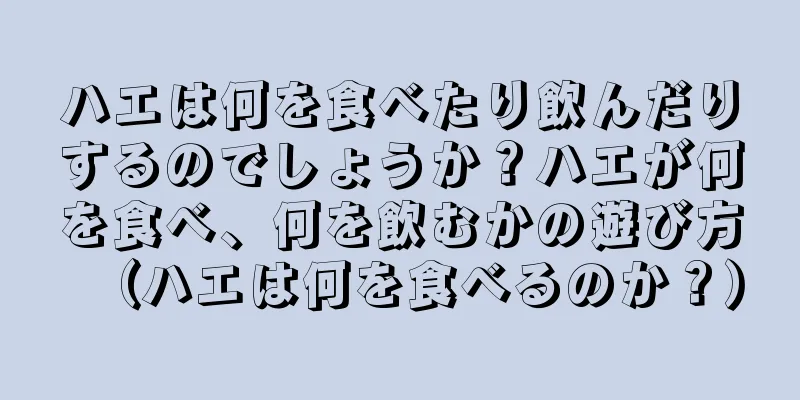 ハエは何を食べたり飲んだりするのでしょうか？ハエが何を食べ、何を飲むかの遊び方（ハエは何を食べるのか？）