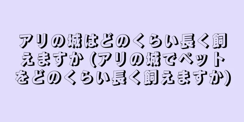 アリの城はどのくらい長く飼えますか (アリの城でペットをどのくらい長く飼えますか)