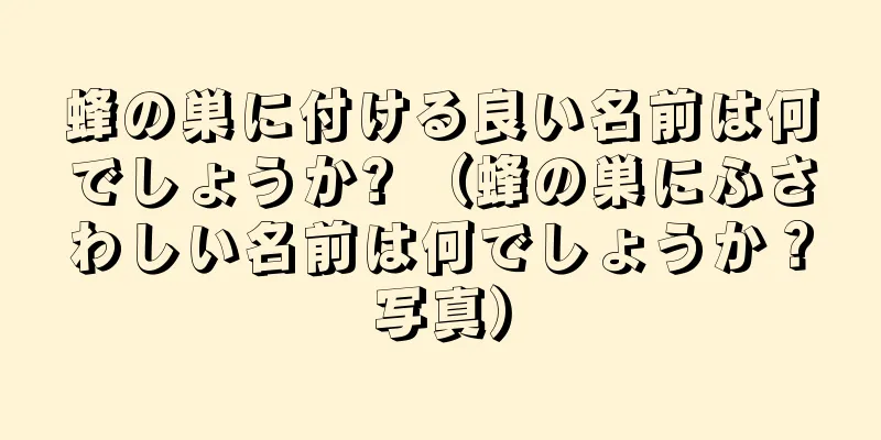 蜂の巣に付ける良い名前は何でしょうか? （蜂の巣にふさわしい名前は何でしょうか？写真）