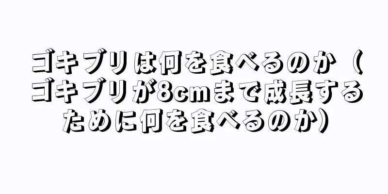ゴキブリは何を食べるのか（ゴキブリが8cmまで成長するために何を食べるのか）