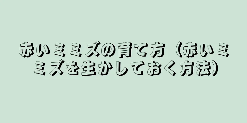 赤いミミズの育て方（赤いミミズを生かしておく方法）