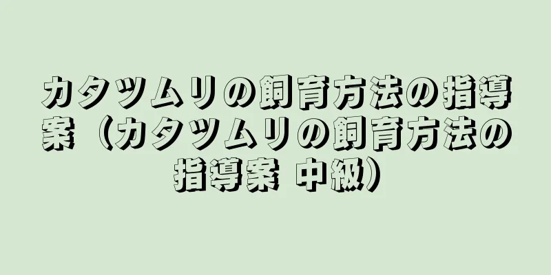 カタツムリの飼育方法の指導案（カタツムリの飼育方法の指導案 中級）