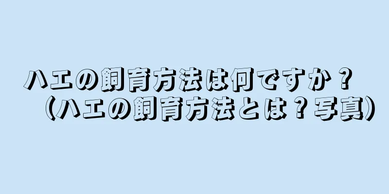 ハエの飼育方法は何ですか？ （ハエの飼育方法とは？写真）
