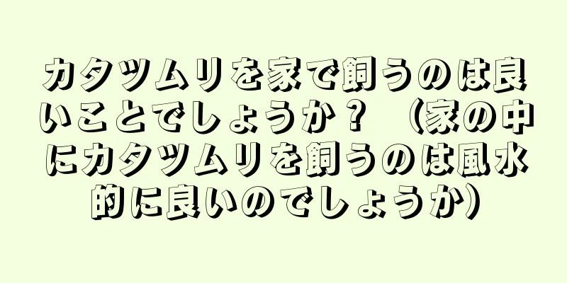 カタツムリを家で飼うのは良いことでしょうか？ （家の中にカタツムリを飼うのは風水的に良いのでしょうか）