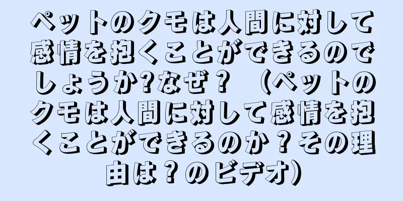 ペットのクモは人間に対して感情を抱くことができるのでしょうか?なぜ？ （ペットのクモは人間に対して感情を抱くことができるのか？その理由は？のビデオ）