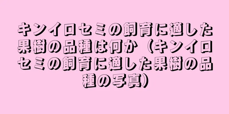キンイロセミの飼育に適した果樹の品種は何か（キンイロセミの飼育に適した果樹の品種の写真）