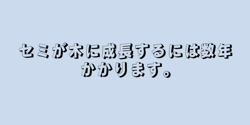 セミが木に成長するには数年かかります。