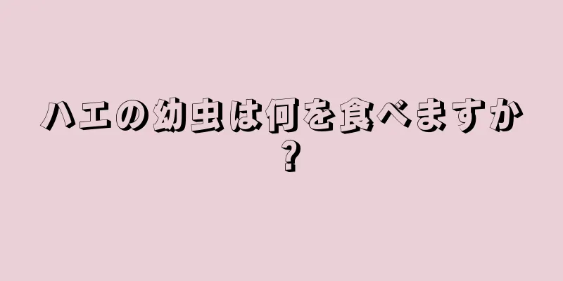 ハエの幼虫は何を食べますか？