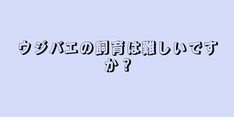 ウジバエの飼育は難しいですか？