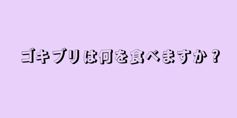 ゴキブリは何を食べますか？