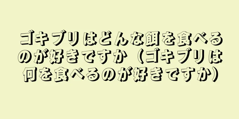 ゴキブリはどんな餌を食べるのが好きですか（ゴキブリは何を食べるのが好きですか）