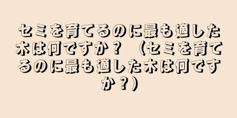 セミを育てるのに最も適した木は何ですか？ （セミを育てるのに最も適した木は何ですか？）
