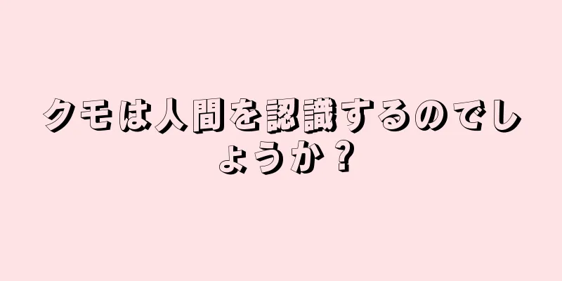 クモは人間を認識するのでしょうか？