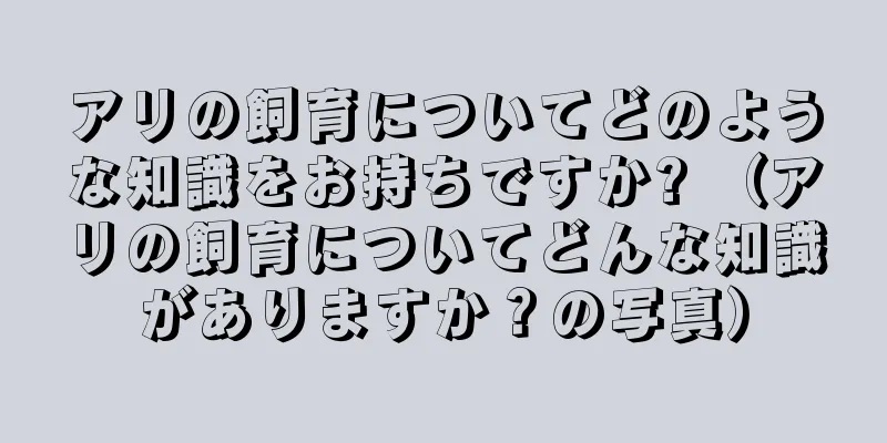 アリの飼育についてどのような知識をお持ちですか? （アリの飼育についてどんな知識がありますか？の写真）