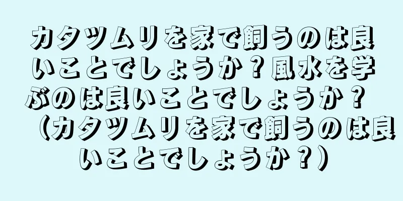 カタツムリを家で飼うのは良いことでしょうか？風水を学ぶのは良いことでしょうか？ （カタツムリを家で飼うのは良いことでしょうか？）