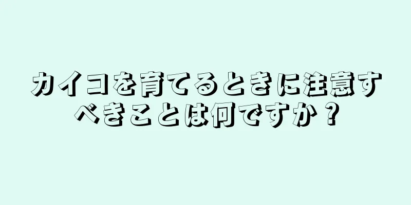 カイコを育てるときに注意すべきことは何ですか？