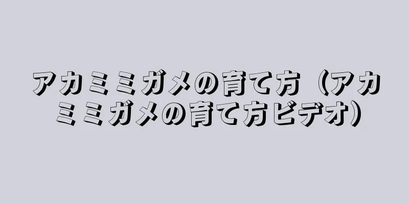 アカミミガメの育て方（アカミミガメの育て方ビデオ）