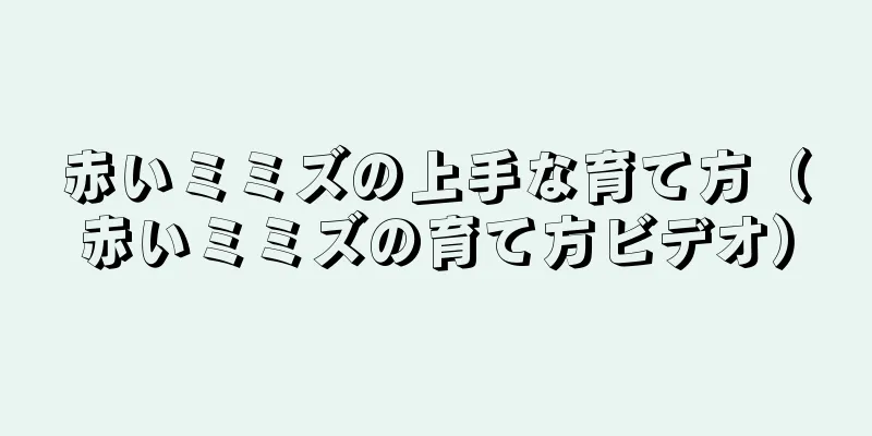 赤いミミズの上手な育て方（赤いミミズの育て方ビデオ）