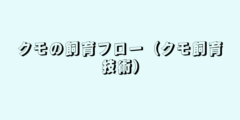 クモの飼育フロー（クモ飼育技術）
