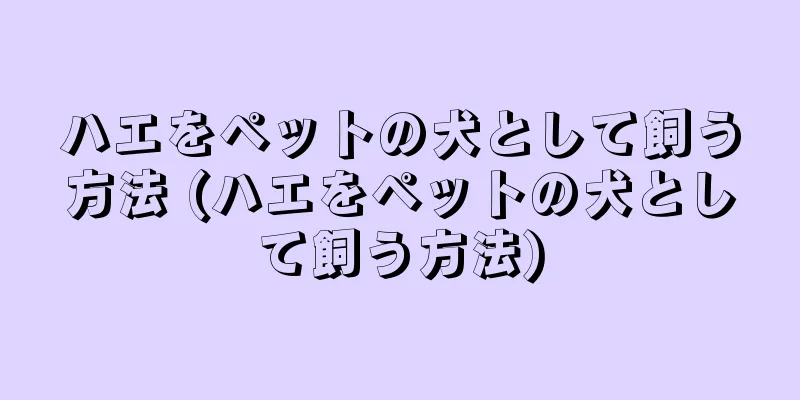 ハエをペットの犬として飼う方法 (ハエをペットの犬として飼う方法)
