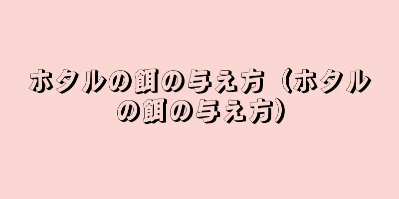 ホタルの餌の与え方（ホタルの餌の与え方）