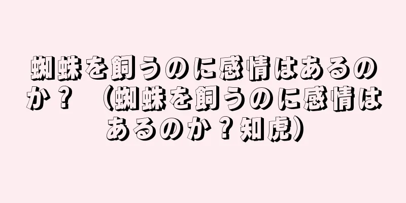蜘蛛を飼うのに感情はあるのか？ （蜘蛛を飼うのに感情はあるのか？知虎）