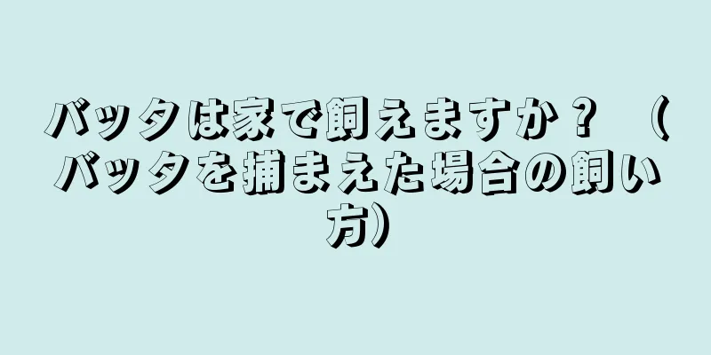 バッタは家で飼えますか？ （バッタを捕まえた場合の飼い方）